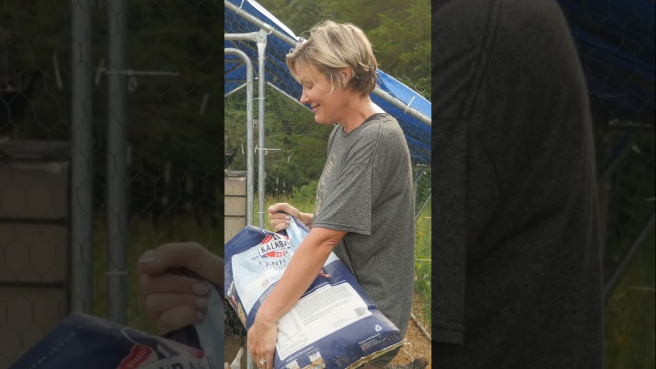 See our farm routine in much more detail on Youtube now :) I think y'all will love it! 