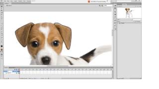 Adobe Flash trace for beginners Part 2 (CS6)