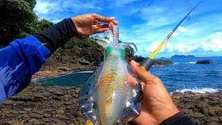 Download Lagu CUMI-CUMI MULAI AKTIF ‼️ OMBAK TENANG WAKTU TERBAIK MANCING CUMI PINGGIR LAUT MP3