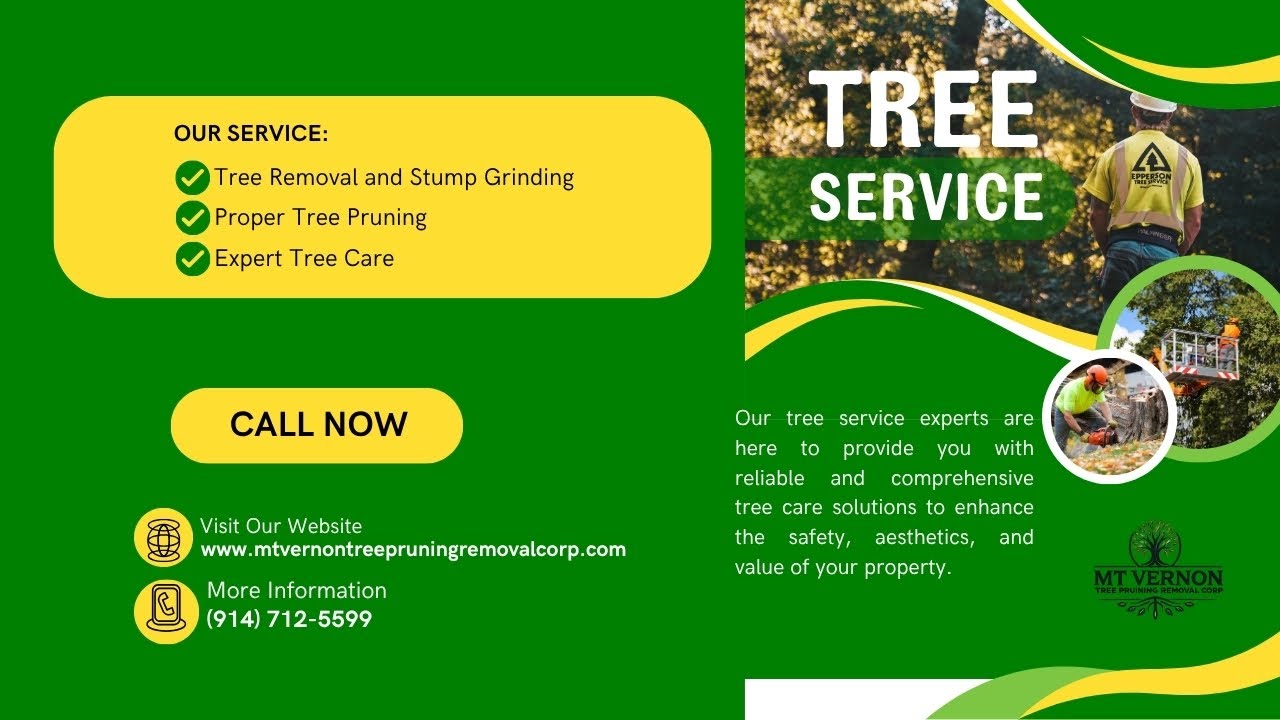 MT Vernon Tree Pruning | Expert Tree Removal Services 🌳 Call (914) 712-5599