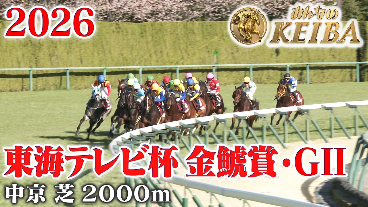 東海テレビ杯 金鯱賞・GⅡ】金鯱賞 中京 芝 2000m 2026 レース