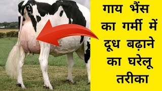 गाय भैंस का गर्मी में दूध बढ़ाने का तरीका | gaay bhains ka doodh kaise badhaye | Dairy farming hindi