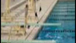 WO Diving Camp