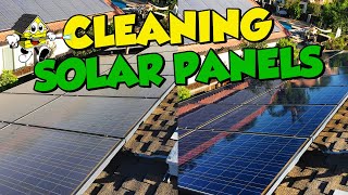 Cleaning Solar Panels - How much does it cost? When should I clean them?