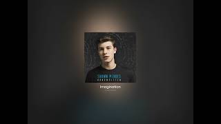 Imagination - Shawn Mendes (Acapella - Vocals Only)