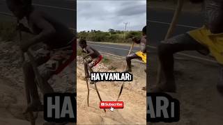 Bu Çocuklar Neden Sirikla Yürüyor?