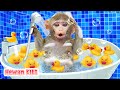 Bayi monyet kiki mandi di toilet dengan bebek dan pergi  kartun monyet lucu  hewan kiki channel