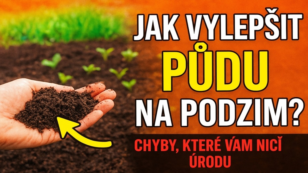 Jak vylepšit půdu na podzim? 🌱 Chyby, které vám ničí úrodu.