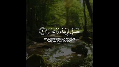 القارئ عبدالرحمن مسعد_سورة الكوثر #عبدالرحمن_مسعد #سورة_الكوثر