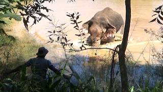 Watch the Heart-Stopping Moment a Vet Takes Aim to Save an Elephants Life with a Single Dart