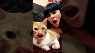My cat is so weird - Best funny animal video 2023😹😹. Part 22 #short #lol #shortvideo #viral #shorts