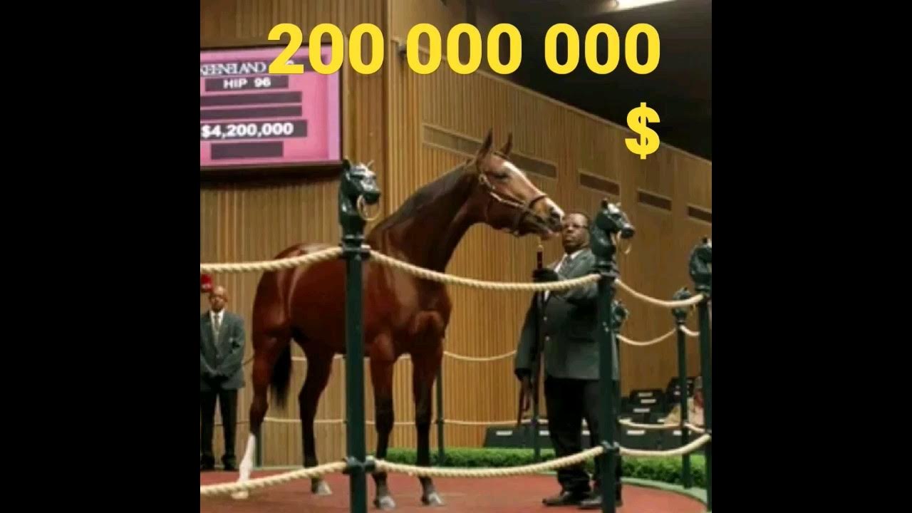 Френкель самая дорогая лошадь в мире 200 000 000 милионов $ - YouTube