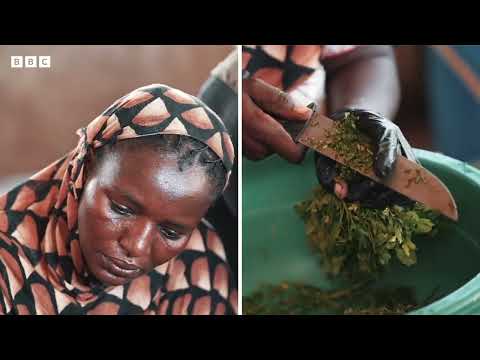 الموسيقى والغذاء لمواجهة المجاعة في السودان