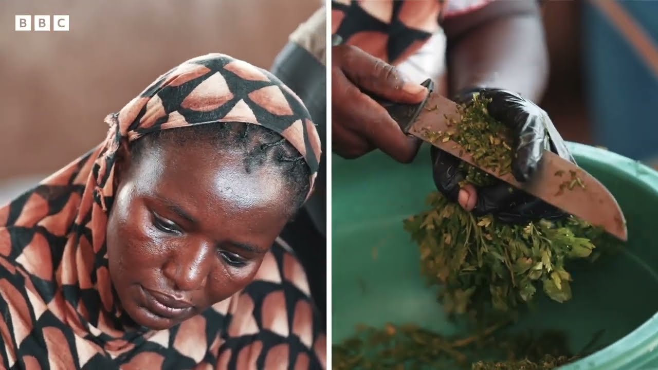 الموسيقى والغذاء لمواجهة المجاعة في السودان