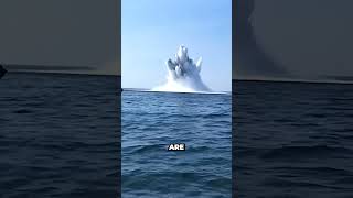 Minehunter vs Minesweeper - What's the difference? #shorts