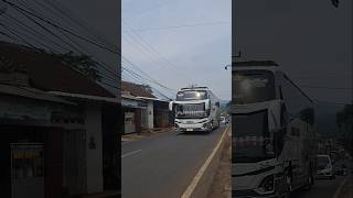 Mantap Basuri 36 Not Kids Panda 😱 #busmania #telolet #basuri