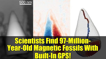 Scientists Find 97-Million-Year-Old Magnetic Fossils With Built-In GPS!