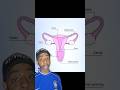 How did black women's suffering give us modern gynecology?
