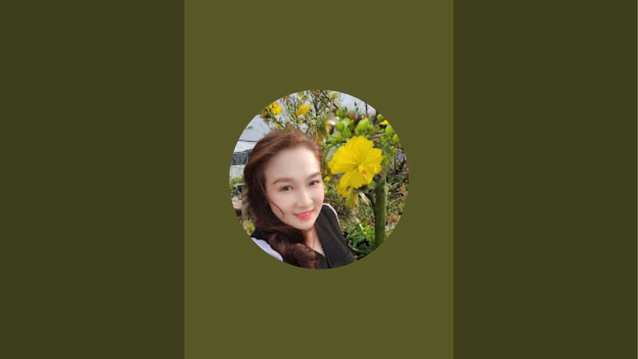 mai giống mới nhiều loại : đại lộc tiến vua , cam thiên lộc #maivang