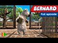 BERNARD BEAR 91 Full Episode 