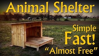 "Almost Free" DIY Animal Shelter / Dog House / Shed Build for All Skill Levels using Pallets