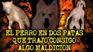 Mis 3 Perros Me Hablaron Y Ya No Son Los Mismos - Experiencias Con Perros Actuando Como Humanos