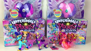 Hatchimals Pixie Riders Special Edition Blind Box Figure Unboxing & Review