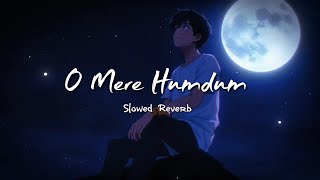 O Mere Humdum - Slowed Reverb | Official Lofi Song | DT lofi studio 