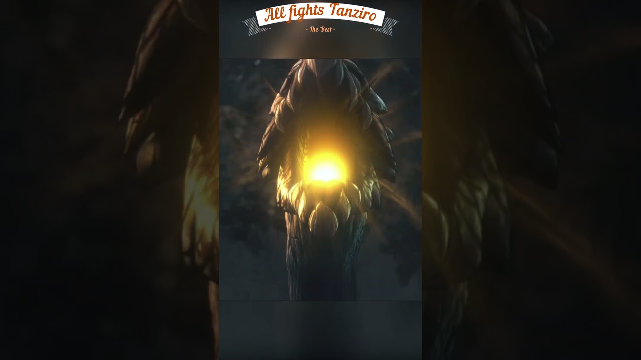 All fights Tanziro 59 