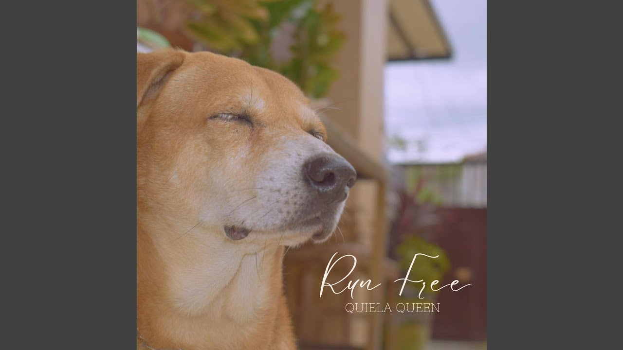 Watch Run Free on YouTube Watch Run Free on YouTube
