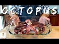 TAKO (Octopus) Clean and Cook