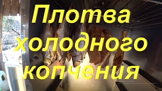 видео: Плотва (сорога) и мясо картинка: Плотва (сорога) и мясо