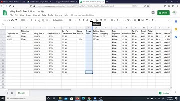 Simple eBay Profit Excel Sheet with Shared Link