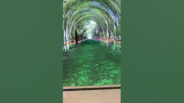 LED Four Seasons Reincarnation Time Tunnel