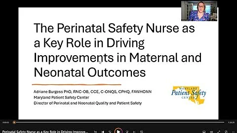 Perinatal Safety Nurse as a Key Role in Driving Improvements in Maternal and Neonatal Outcomes