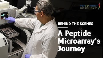 PEPperCHIP: Behind the scenes