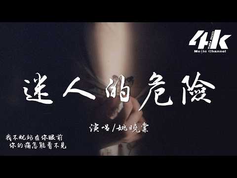 姚曉棠 - 迷人的危險『為什麼最迷人的最危險，為什麼愛會讓人變殘缺。』【高音質HD|動態歌詞Lyrics】♫·翻唱歌曲 (原唱:Dance Flow)