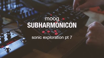 Moog Subharmonicon - sonic exploration pt 7