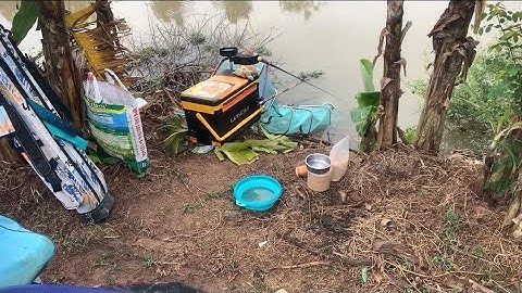 Điểm câu rất nhiều cá diếc sông