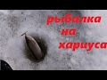 рыбалка на таежной реке//ловля хариуса в марте 2020