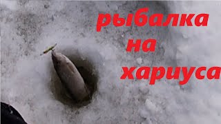 рыбалка на таежной реке//ловля хариуса в марте 2020