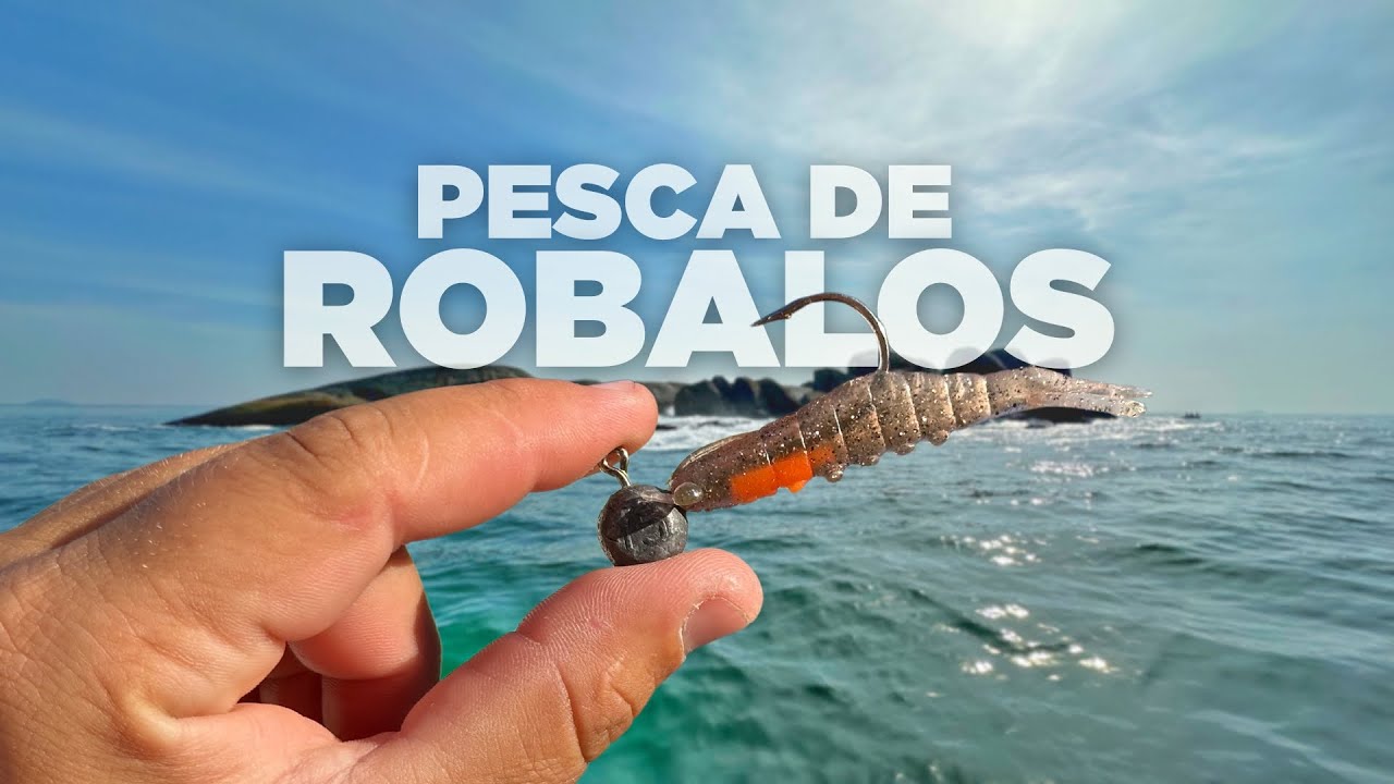 FOMOS NOS MELHORES PONTOS DE PESCA DE ROBALOS NO MAR!