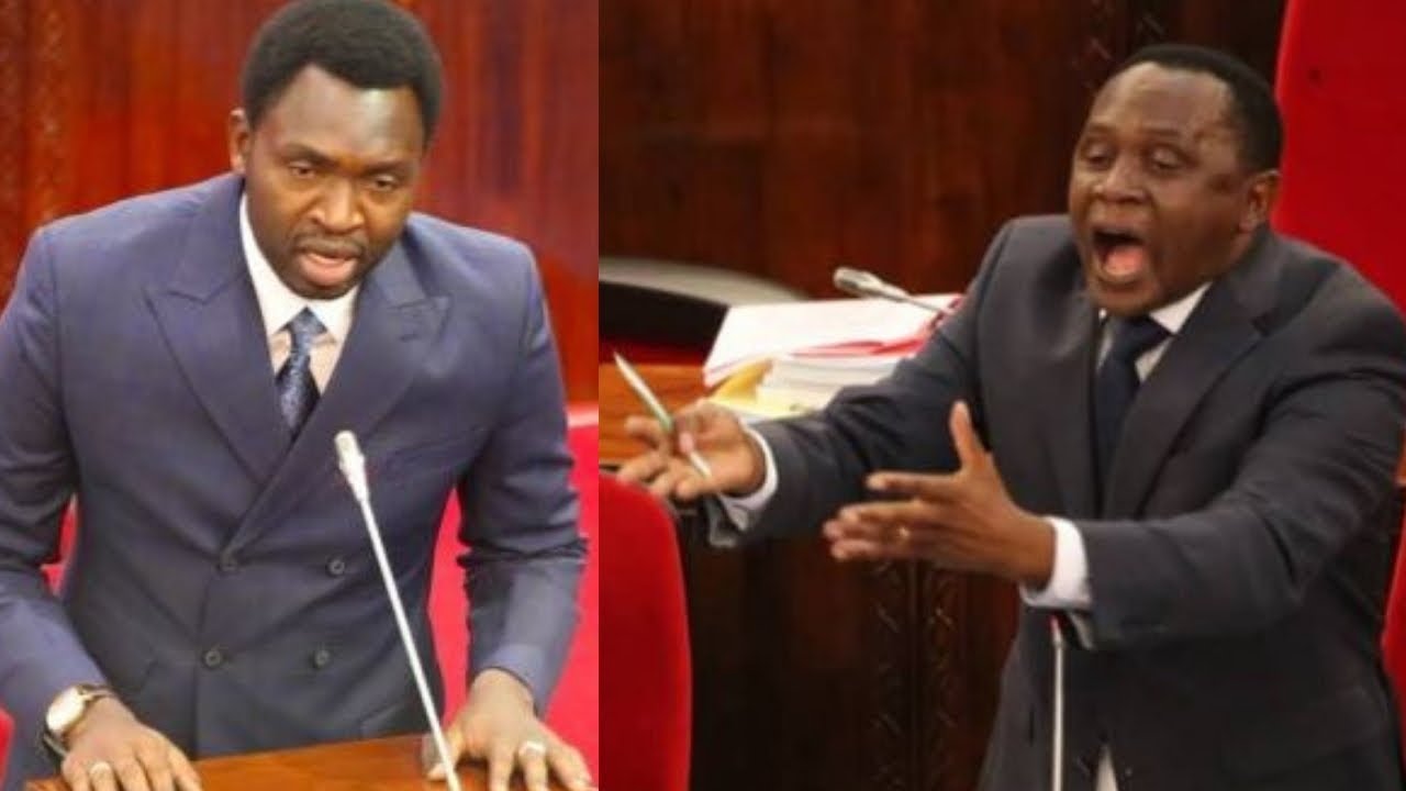 MSIGWA Amlipua KIGWANGALA Bungeni - 