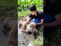 [Dog catch fish] He went out to catch fish but he was stuck in the deep swamp😅🐕‍🦺