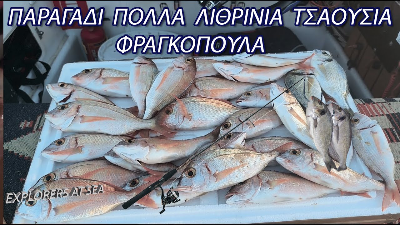 ΠΑΡΑΓΑΔΙ  ΠΟΛΛΑ  ΛΙΘΡΙΝΙΑ  ΤΣΑΟΥΣΙΑ  ΦΡΑΓΚΟΠΟΥΛΑ