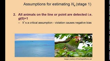 Distance sampling assumptions