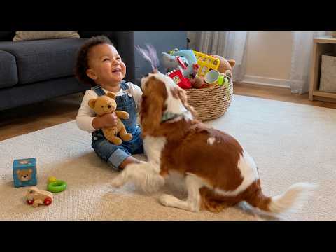 Cute Babies and Funny Pets Compilation 2026 😍 Best Baby Animal Moments