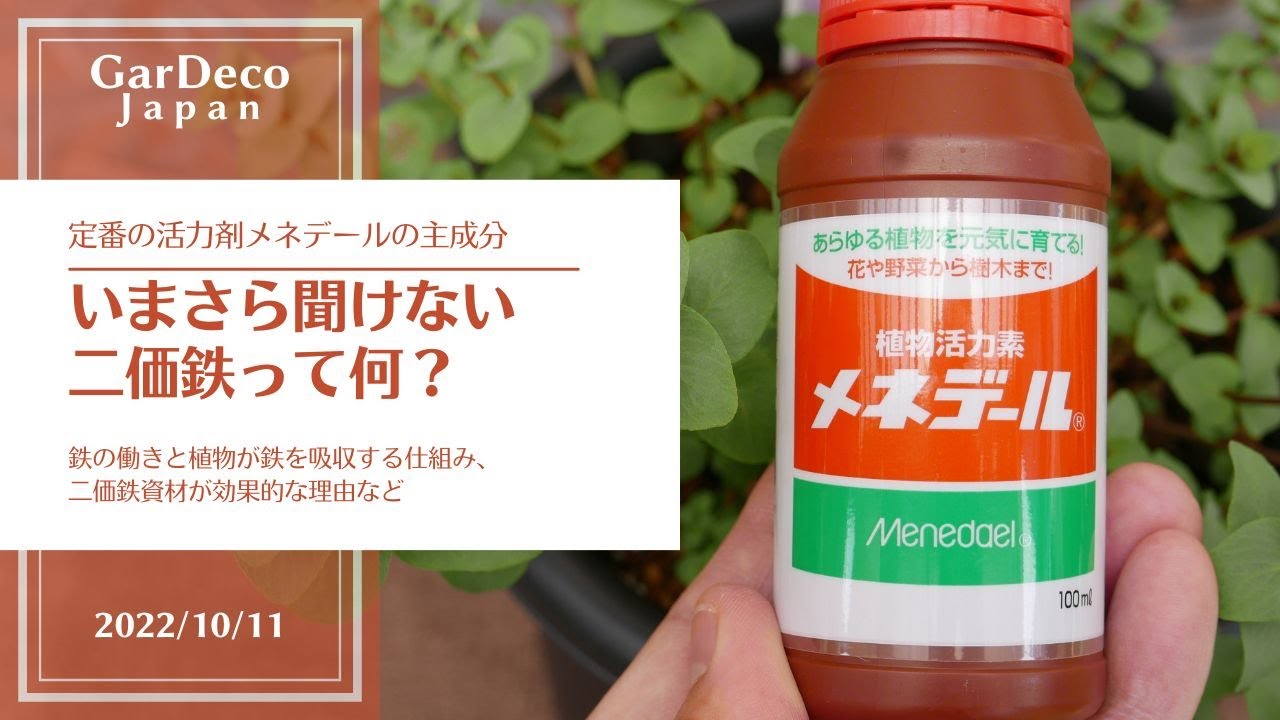 【いまさら聞けない】二価鉄って何？【活力剤】