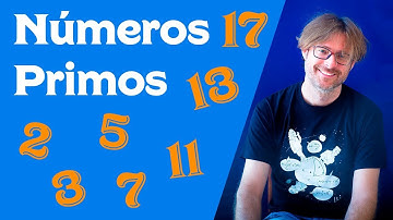 Números Primos | Explicación y Ejemplos