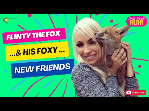 Flinty the Fox...& His New Foxy Friends - Jodie Marsh:Filthy